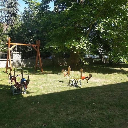 Pensiunea Elphin Targu Mures Exterior foto
